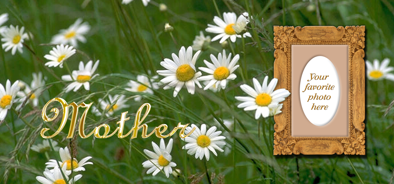 Field of Daisies Mother Gold